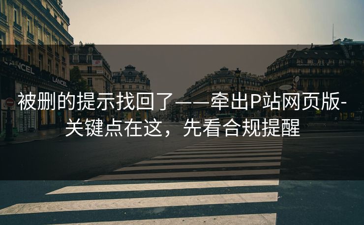 被删的提示找回了——牵出P站网页版-关键点在这，先看合规提醒