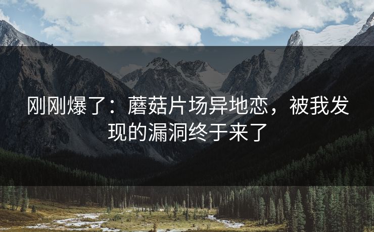 刚刚爆了：蘑菇片场异地恋，被我发现的漏洞终于来了